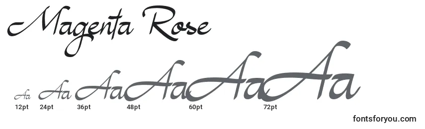 Размеры шрифта Magenta Rose