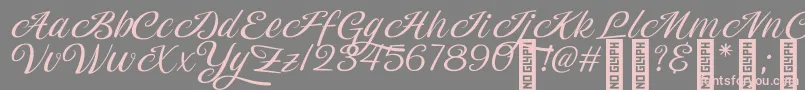 Magiera Script Font – Pink Fonts on Gray Background