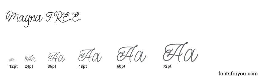 Magna FREE Font Sizes