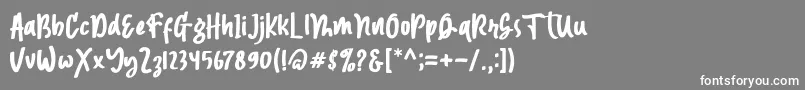 フォントMagnetto – 灰色の背景に白い文字