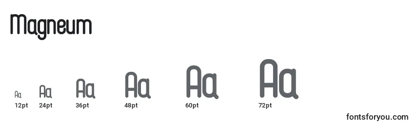 Magneum Font Sizes