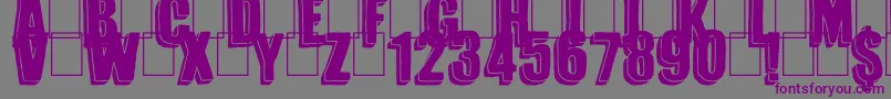 Magnifico Font – Purple Fonts on Gray Background