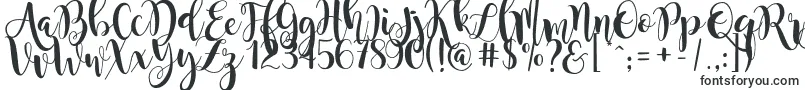 Шрифт magnolia sky – вытянутые шрифты