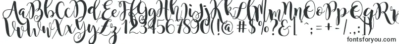 Шрифт magnolia sky – винтажные шрифты