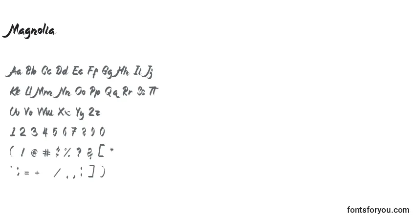 A fonte Magnolia (133370) – alfabeto, números, caracteres especiais