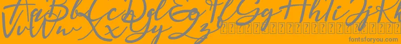 Magnolisa DEMO Font – Gray Fonts on Orange Background