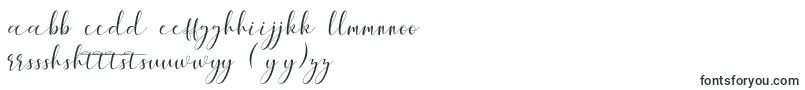 フォントMaheria Script – ハウスフォント