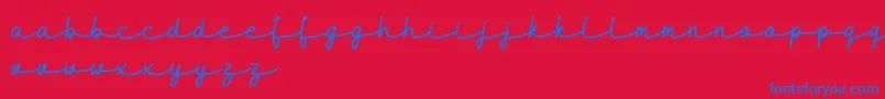 Шрифт maidenhair DEMO – синие шрифты на красном фоне