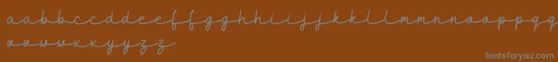 Шрифт maidenhair DEMO – серые шрифты на коричневом фоне