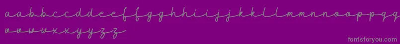 maidenhair DEMO-Schriftart – Graue Schriften auf violettem Hintergrund