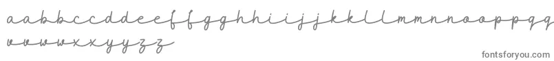 Шрифт maidenhair DEMO – серые шрифты на белом фоне