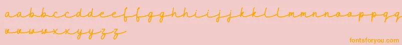 maidenhair DEMO Font – Orange Fonts on Pink Background