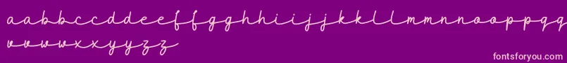 maidenhair DEMO-Schriftart – Rosa Schriften auf violettem Hintergrund