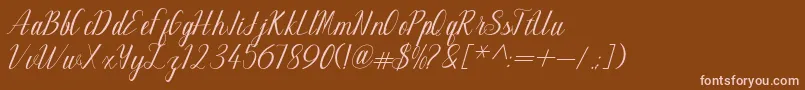 Maillane Font – Pink Fonts on Brown Background