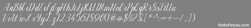 フォントMaillane – 灰色の背景に白い文字