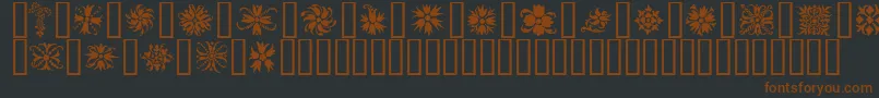 Ornamenter2 Font – Brown Fonts on Black Background