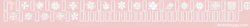 フォントOrnamenter2 – ピンクの背景に白い文字