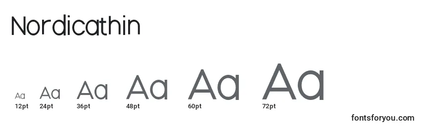 Размеры шрифта Nordicathin