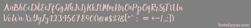 maisha script Demo Font – Pink Fonts on Gray Background