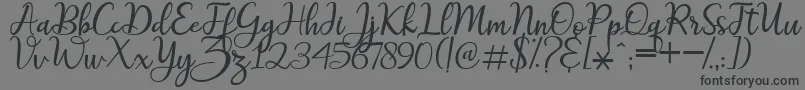 maitlyn script2 Font – Black Fonts on Gray Background