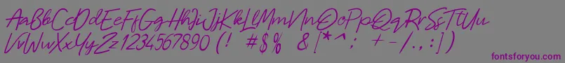 Шрифт Malaya – фиолетовые шрифты на сером фоне