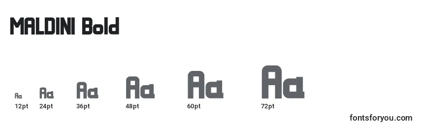 MALDINI Bold Font Sizes