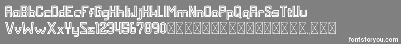 フォントMALDINI STYLE – 灰色の背景に白い文字