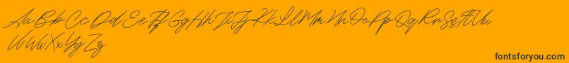 Maldins FREE-Schriftart – Schwarze Schriften auf orangefarbenem Hintergrund