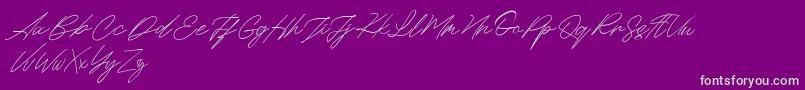 Maldins FREE Font – Green Fonts on Purple Background