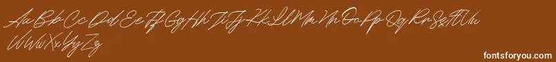 Maldins FREE-Schriftart – Weiße Schriften auf braunem Hintergrund