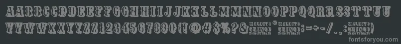 Maldito Gringo Font – Gray Fonts on Black Background