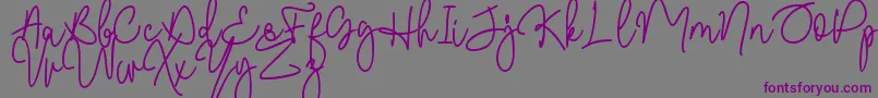 Шрифт Malibbie DAFONT – фиолетовые шрифты на сером фоне