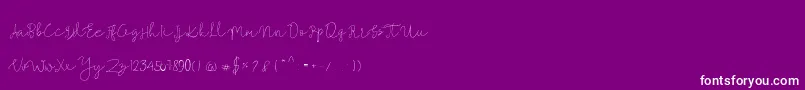 Mallino Font – White Fonts on Purple Background