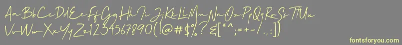 Mallory Quon Font – Yellow Fonts on Gray Background