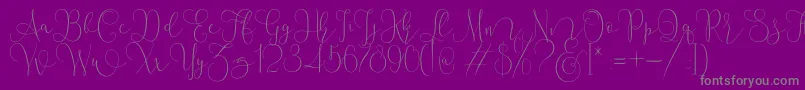 Mallow Script Font – Gray Fonts on Purple Background