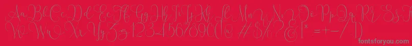 Police Mallow Script – polices grises sur fond rouge