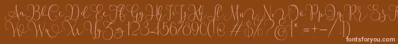 Mallow Script Font – Pink Fonts on Brown Background