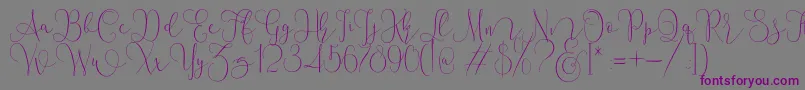 Mallow Script-Schriftart – Violette Schriften auf grauem Hintergrund