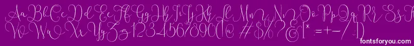 Mallow Script-Schriftart – Weiße Schriften auf violettem Hintergrund