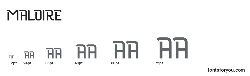 Размеры шрифта Maloire