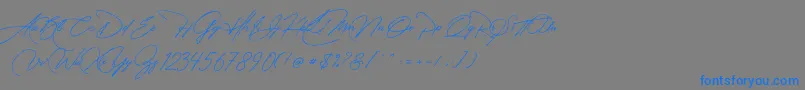 フォントManchester Signature – 灰色の背景に青い文字