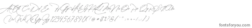 Manchester Signature-fontti – harmaat kirjasimet valkoisella taustalla