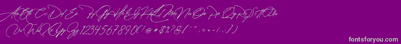 フォントManchester Signature – 紫の背景に緑のフォント
