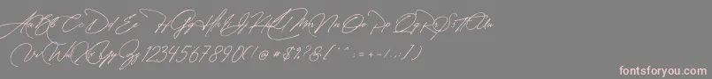 フォントManchester Signature – 灰色の背景にピンクのフォント