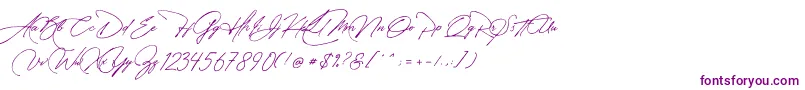 Fonte Manchester Signature – fontes roxas em um fundo branco