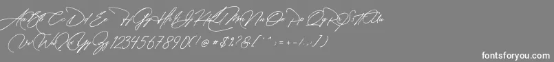 Manchester Signature-fontti – valkoiset fontit harmaalla taustalla