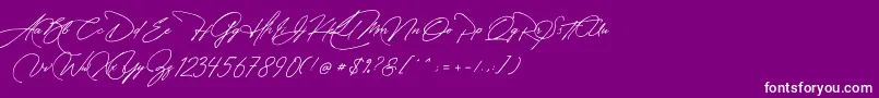 フォントManchester Signature – 紫の背景に白い文字