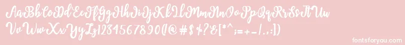 Manda Script Font – White Fonts on Pink Background