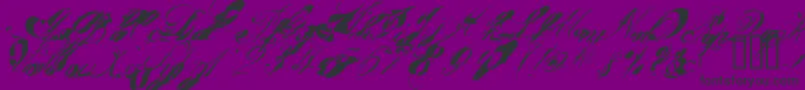 GarglenutzRecur51ve Font – Black Fonts on Purple Background