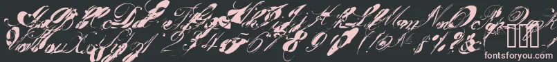 GarglenutzRecur51ve Font – Pink Fonts on Black Background